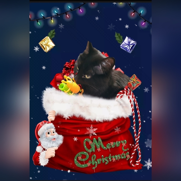 Meet your Posher, Kris - Picture 3 of 4